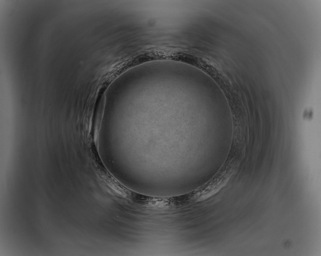 X0000098070624200804041126