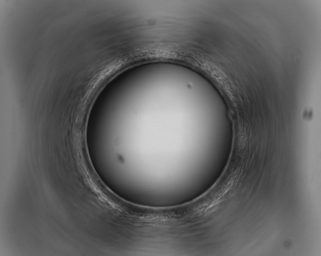 X0000098070625200804041125