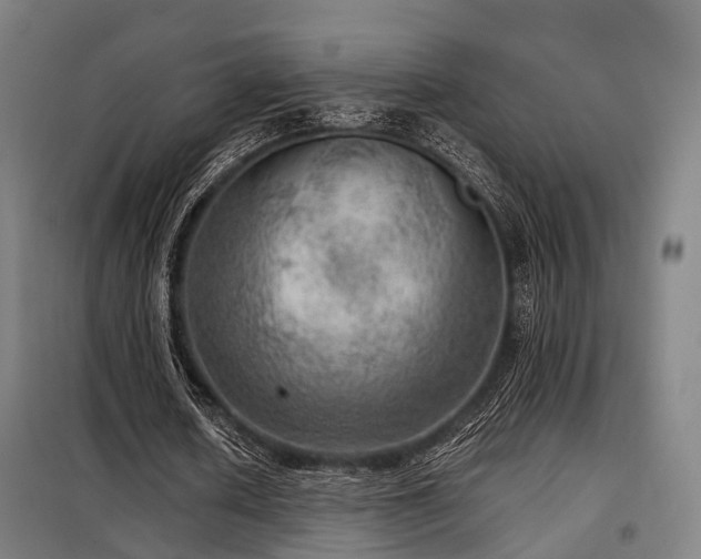 X0000098070626200804041125