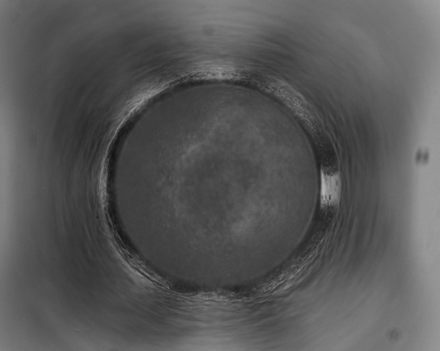 X0000098070627200804041125