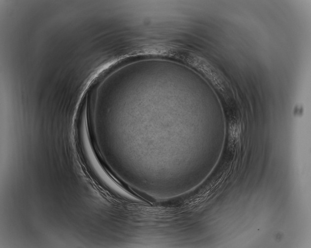 X0000098070628200804041125