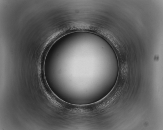 X0000098070629200804041125