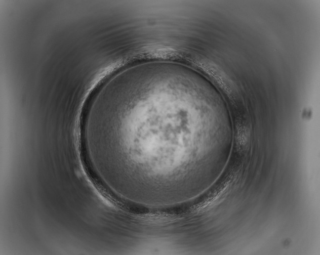 X0000098070630200804041125