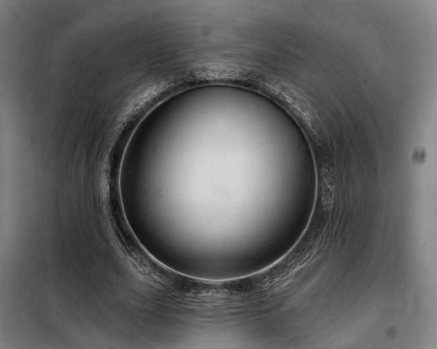 X0000098070631200804041125