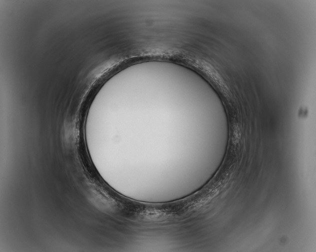 X0000098070632200804041125