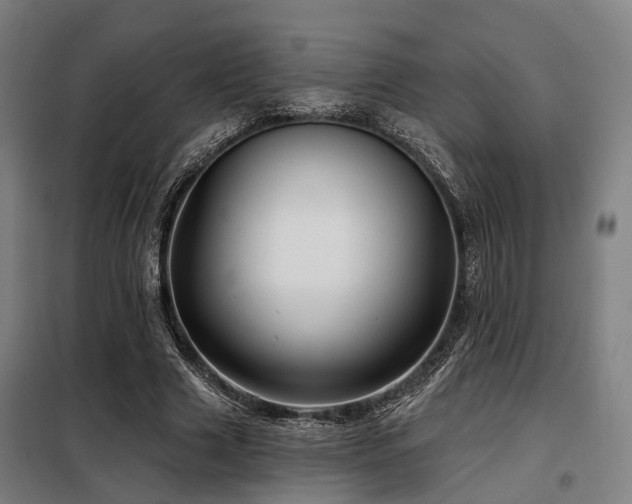 X0000098070633200804041125