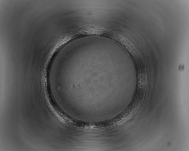 X0000098070634200804041125