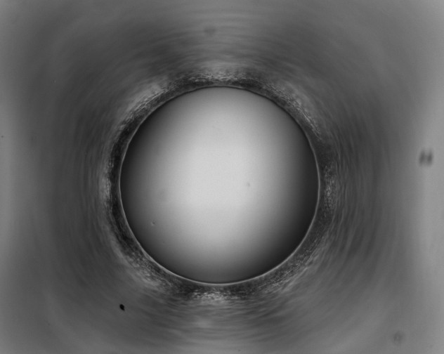 X0000098070635200804041125