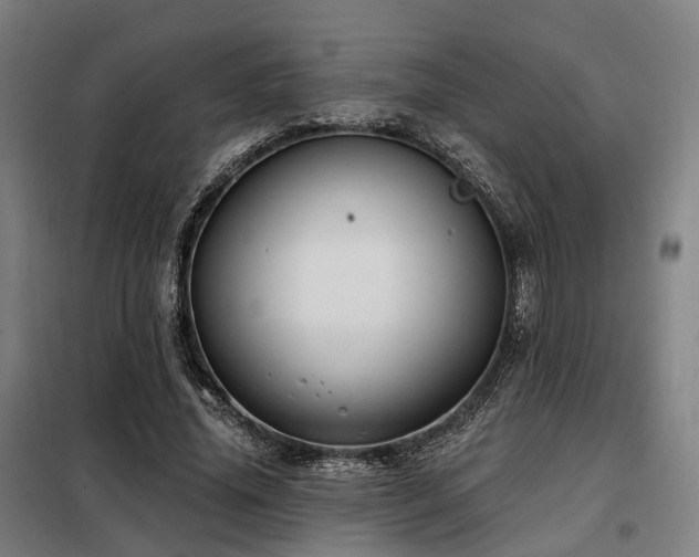 X0000098070636200804041125