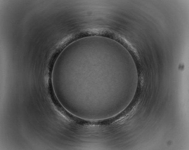 X0000098070637200804041125