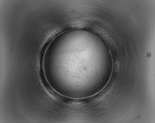 X0000098070638200804041125