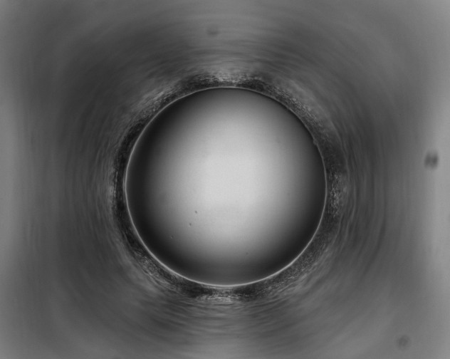 X0000098070639200804041125