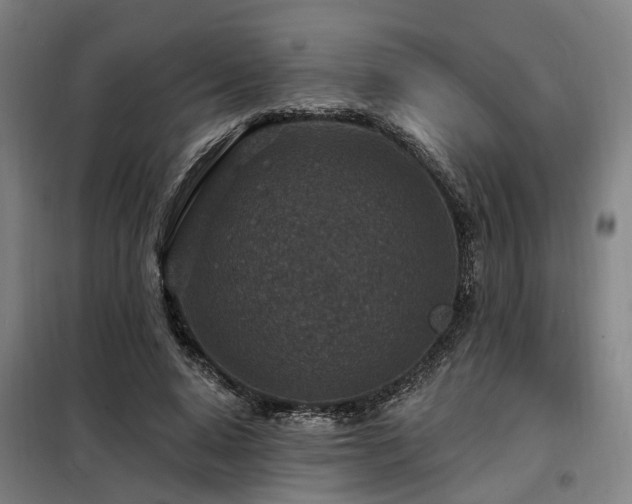 X0000098070640200804041125