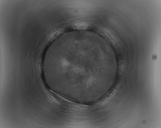 X0000098070641200804041125