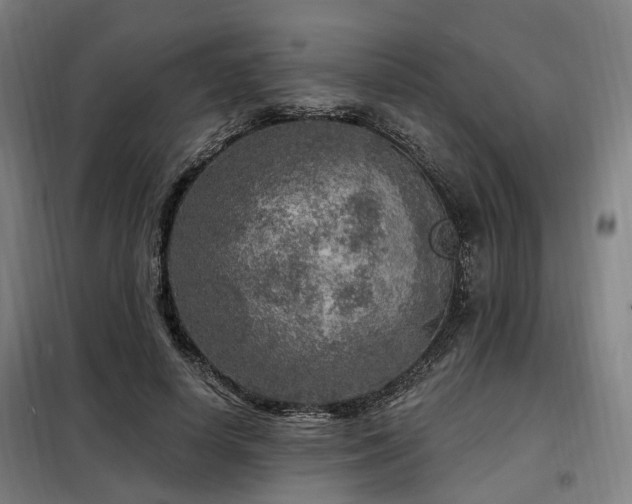 X0000098070642200804041126