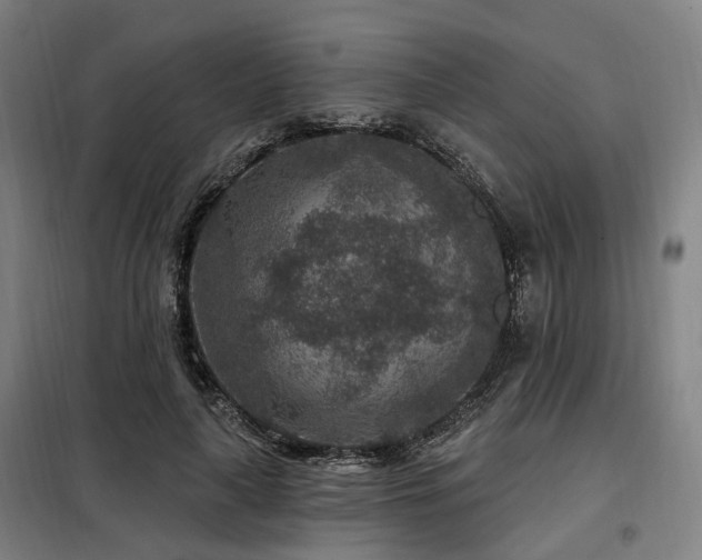 X0000098070643200804041126