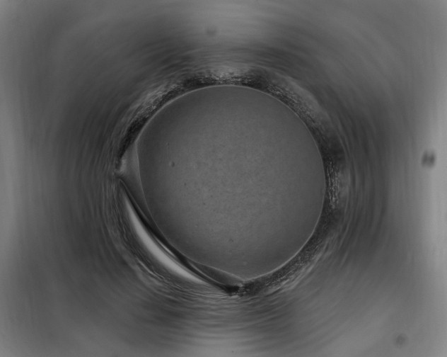 X0000098070644200804041126