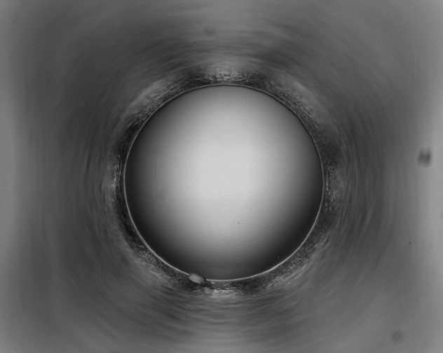 X0000098070645200804041126