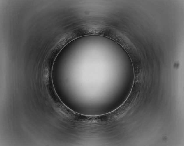 X0000098070646200804041126