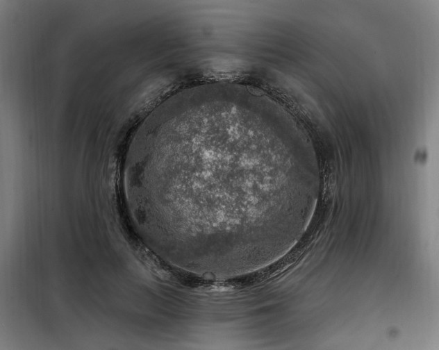 X0000098070647200804041126