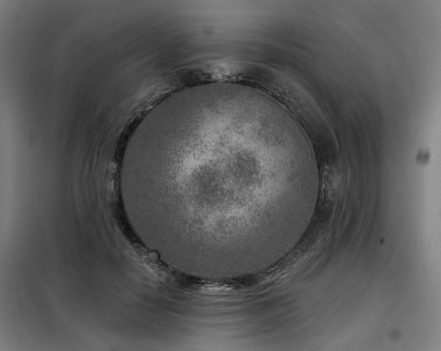 X0000098070650200804041126