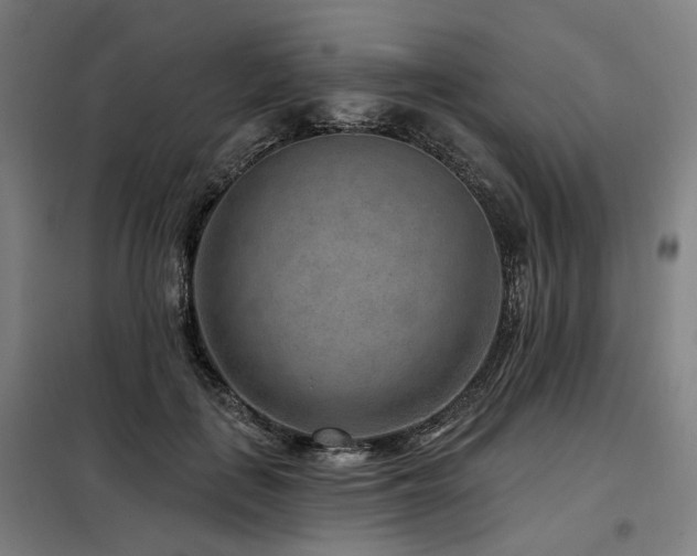 X0000098070651200804041126