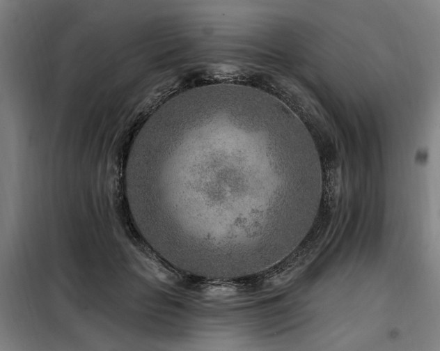 X0000098070653200804041126