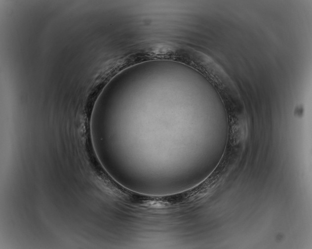 X0000098070654200804041126