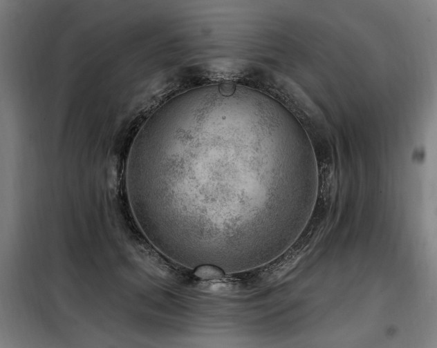 X0000098070655200804041126