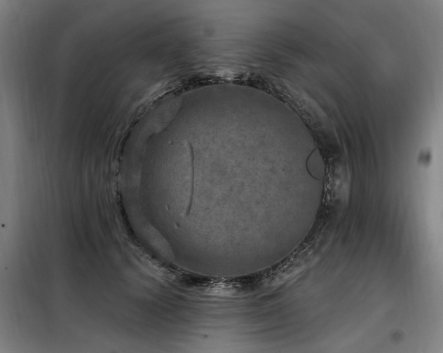 X0000098070656200804041126