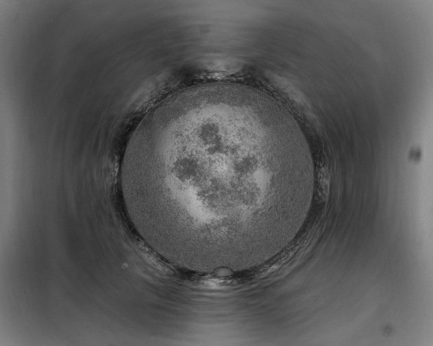 X0000098070657200804041126