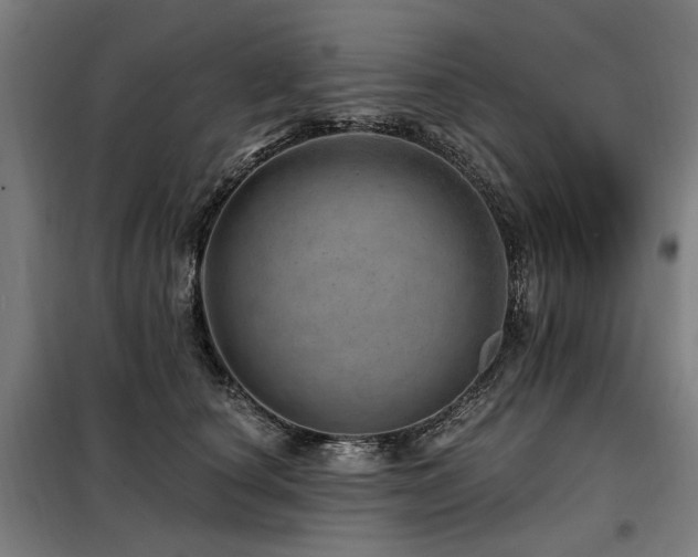 X0000098070660200804041126