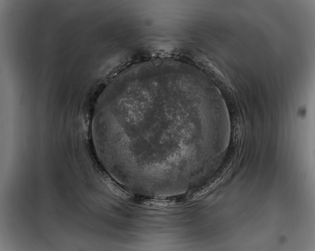 X0000098070661200804041126