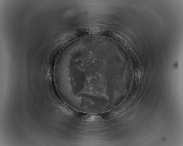 X0000098070663200804041126