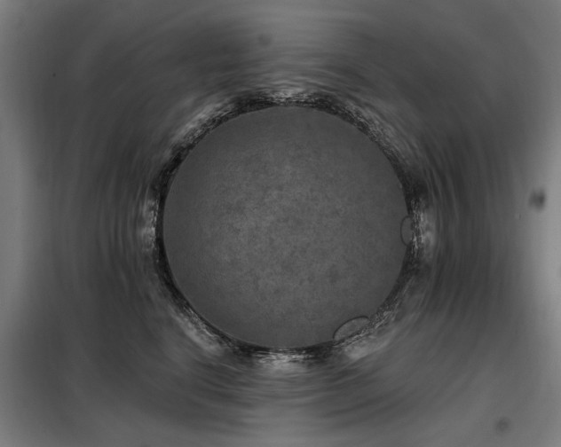 X0000098070664200804041126