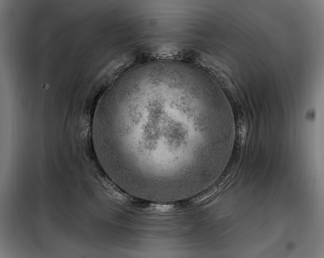 X0000098070665200804041126