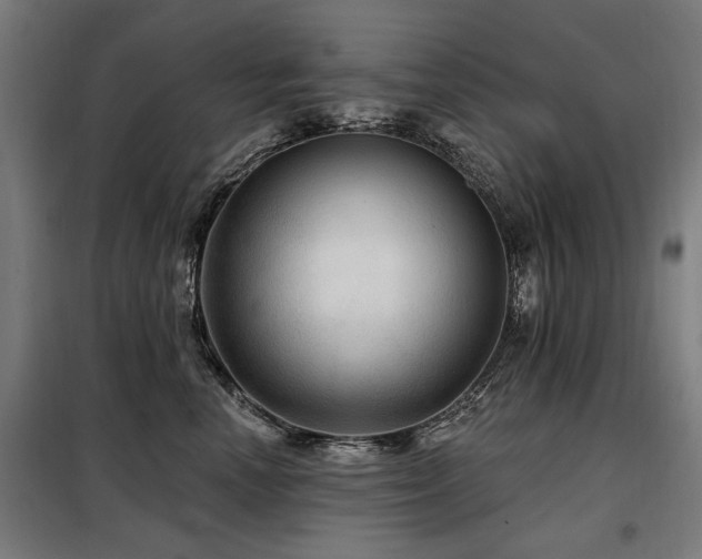 X0000098070666200804041126