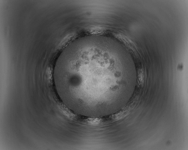 X0000098070667200804041126