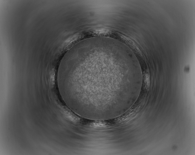 X0000098070668200804041126