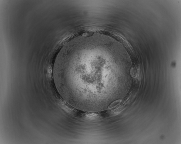 X0000098070669200804041126