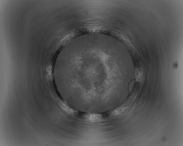 X0000098070670200804041126