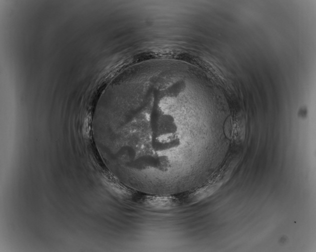 X0000098070671200804041126