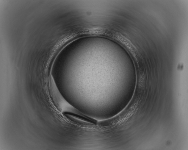 X0000098070673200804041125