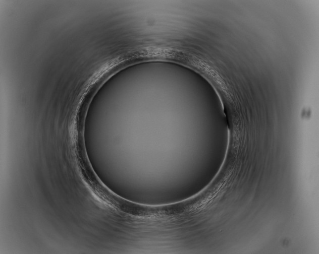 X0000098070674200804041125