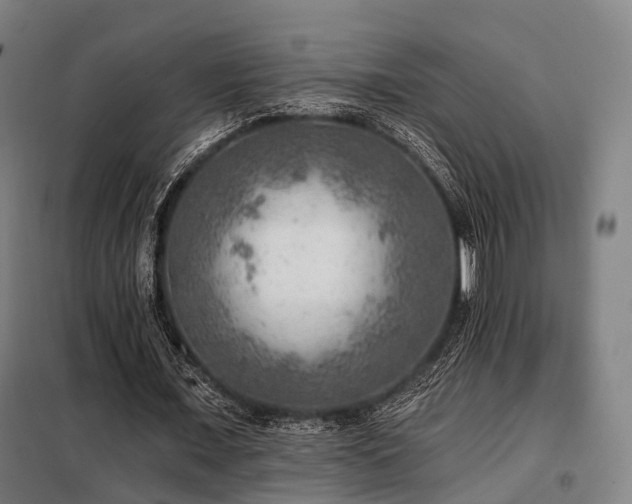 X0000098070675200804041125