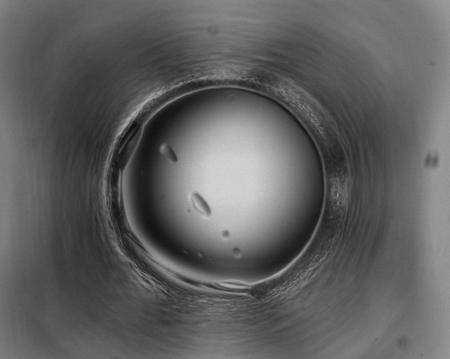 X0000098070676200804041125