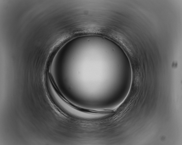 X0000098070677200804041125