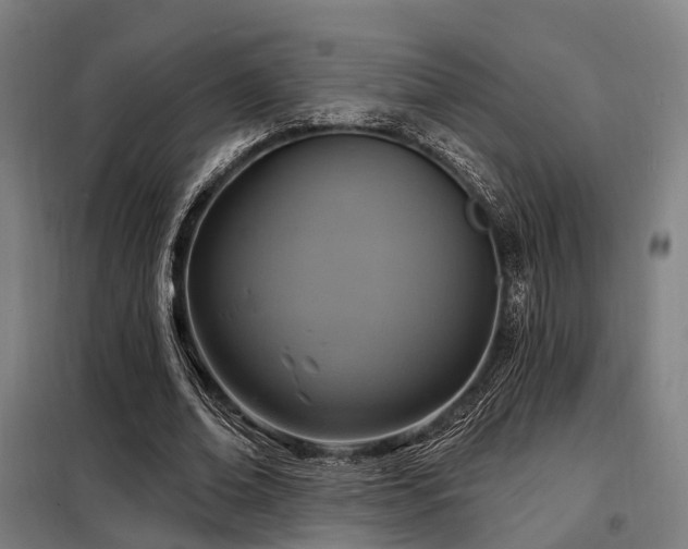 X0000098070678200804041125