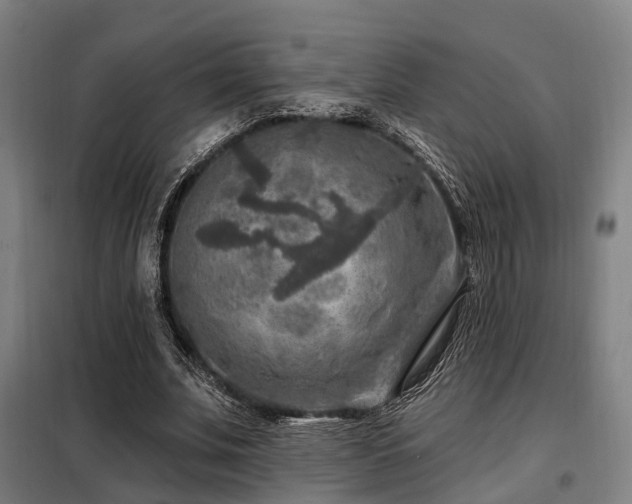 X0000098070679200804041125