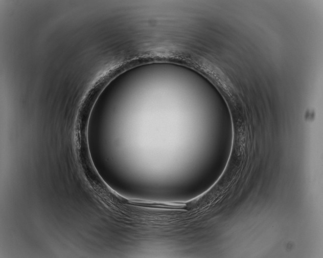 X0000098070680200804041125